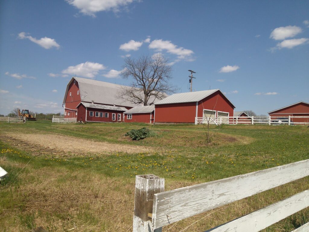 A picture of a big red dairy barn, open fields and white fences. It shows how the owners' farm looked when it was first purchased. Empty and with no trees or gardens.